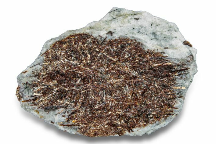 Golden-Brown, Radiating Astrophyllite - Kola Peninsula, Russia #255094